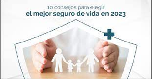 image 2 - Los Mejores Seguros de Vida Riesgo en 2023: Comparativa de Precios y Coberturas
